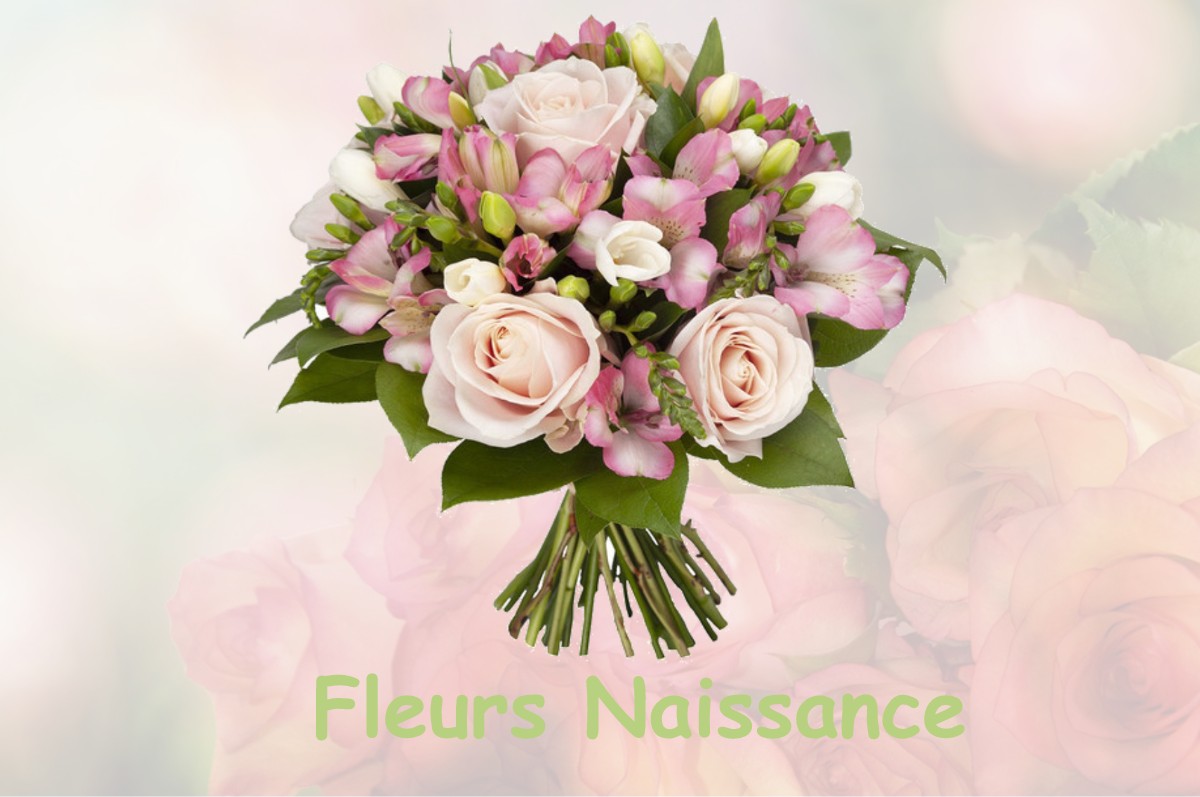 fleurs naissance CATHERVIELLE