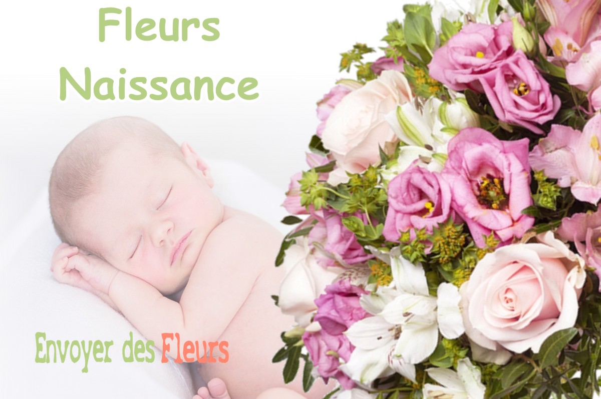 lIVRAISON FLEURS NAISSANCE à CATHERVIELLE